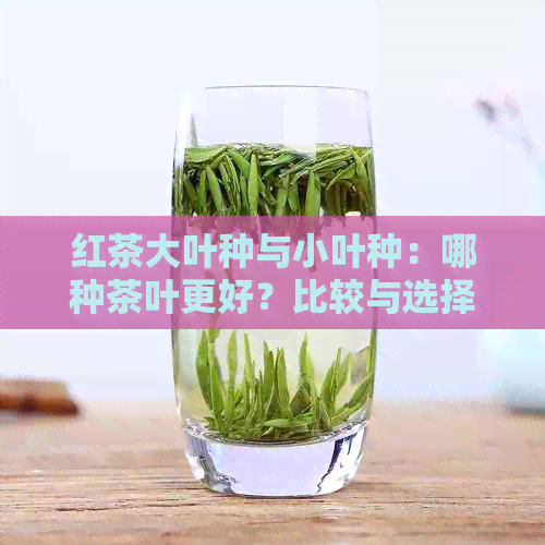 红茶大叶种与小叶种：哪种茶叶更好？比较与选择建议