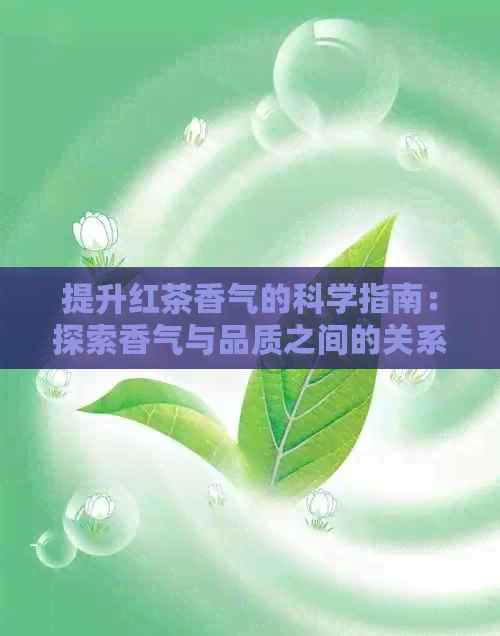 提升红茶香气的科学指南：探索香气与品质之间的关系