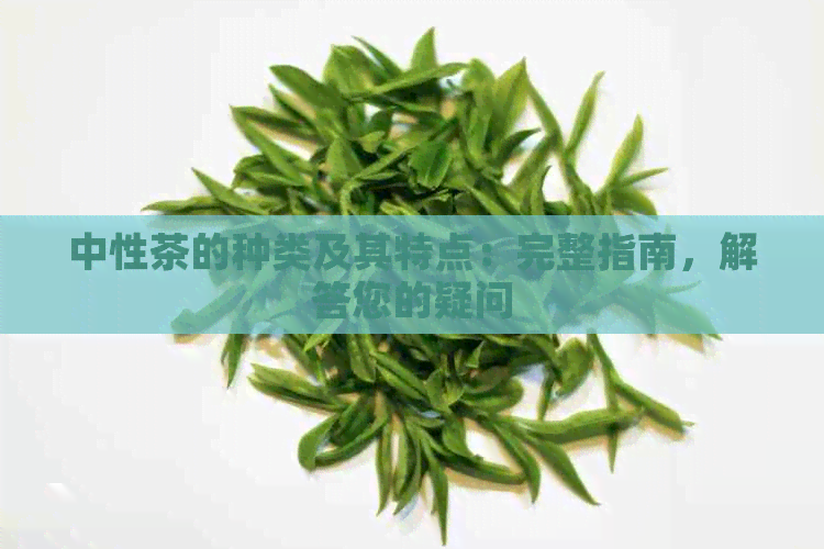 中性茶的种类及其特点：完整指南，解答您的疑问