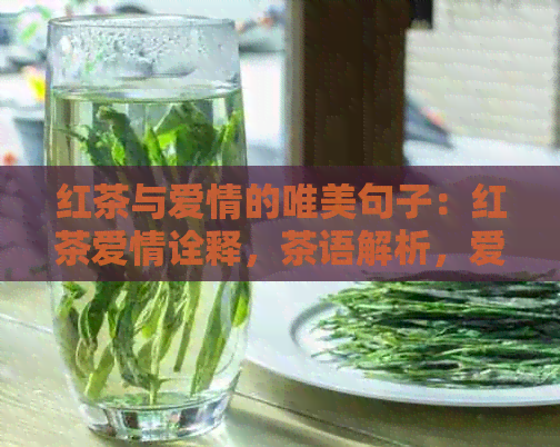 红茶与爱情的唯美句子：红茶爱情诠释，茶语解析，爱情典故探寻