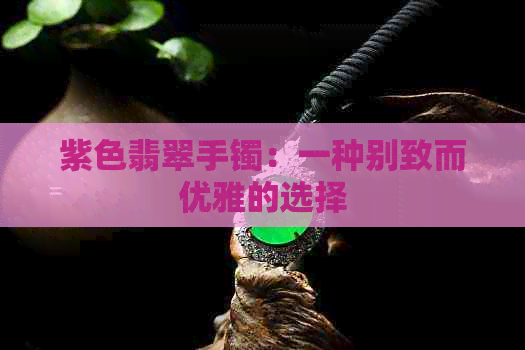 紫色翡翠手镯：一种别致而优雅的选择