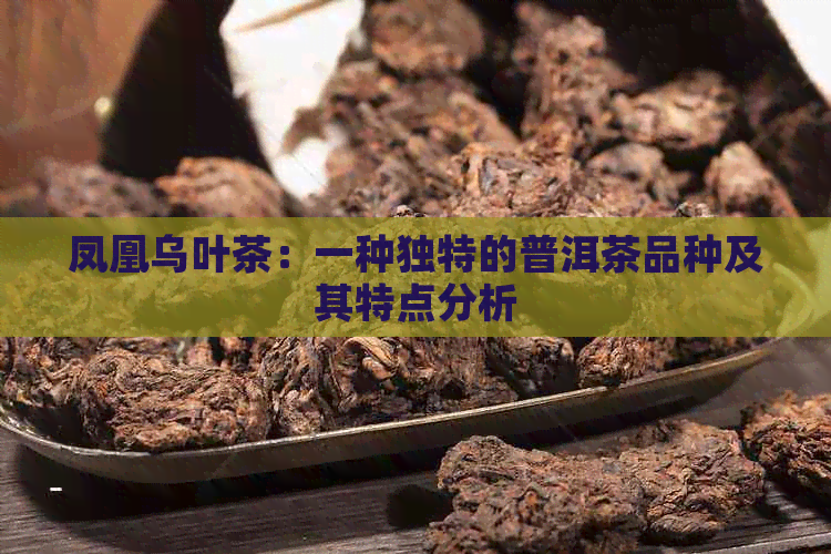 凤凰乌叶茶：一种独特的普洱茶品种及其特点分析