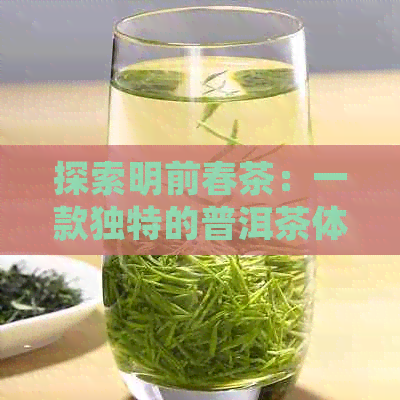 探索明前春茶：一款独特的普洱茶体验