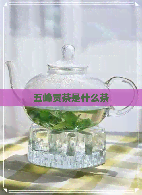 五峰贡茶是什么茶