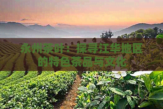 永州茶叶：探寻江华地区的特色茶品与文化