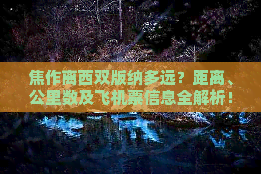 焦作离西双版纳多远？距离、公里数及飞机票信息全解析！