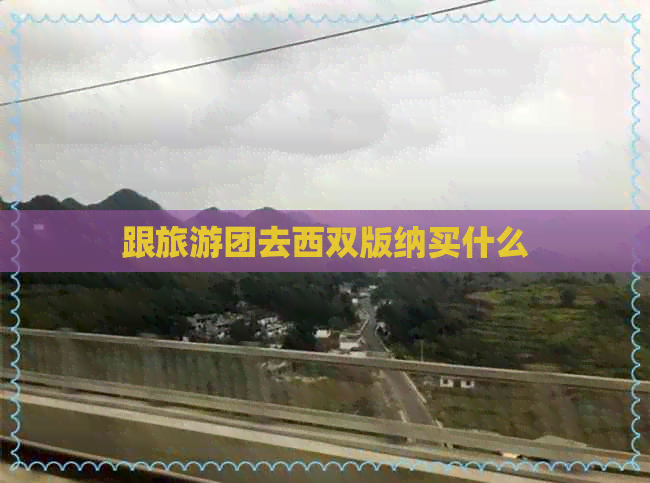 跟旅游团去西双版纳买什么