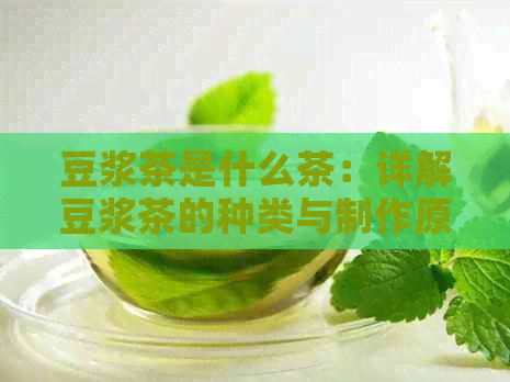 豆浆茶是什么茶：详解豆浆茶的种类与制作原料