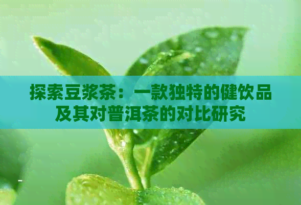 探索豆浆茶：一款独特的健饮品及其对普洱茶的对比研究