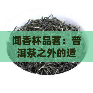 闻香杯品茗：普洱茶之外的适合之选