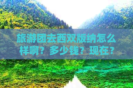 旅游团去西双版纳怎么样啊？多少钱？现在？最近？