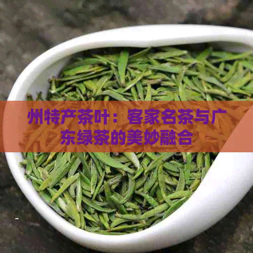 州特产茶叶：客家名茶与广东绿茶的美妙融合