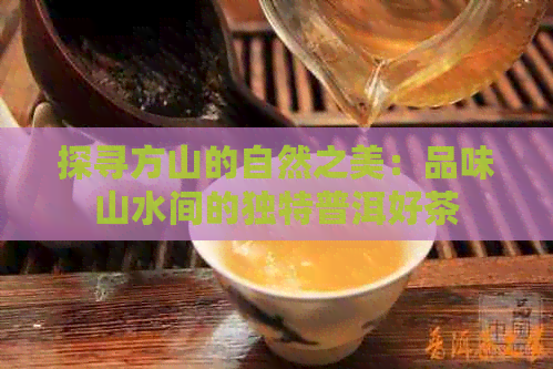 探寻方山的自然之美：品味山水间的独特普洱好茶