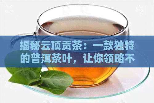 揭秘云顶贡茶：一款独特的普洱茶叶，让你领略不一样的陈年魅力