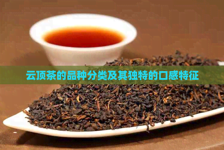 云顶茶的品种分类及其独特的口感特征