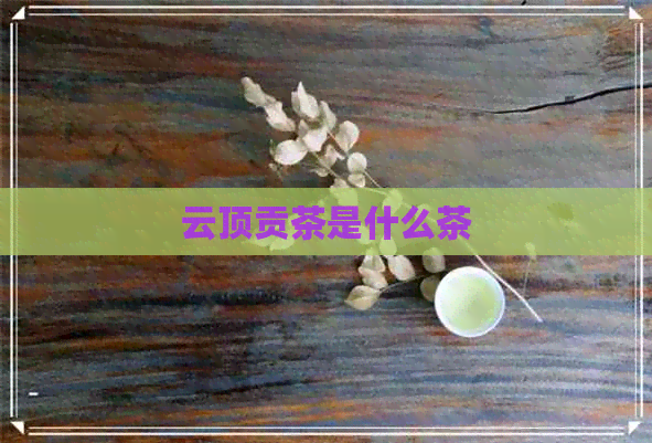 云顶贡茶是什么茶