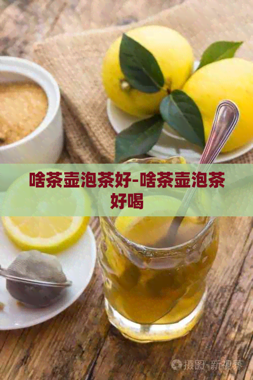 啥茶壶泡茶好-啥茶壶泡茶好喝