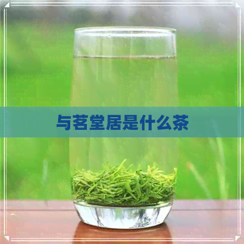 与茗堂居是什么茶