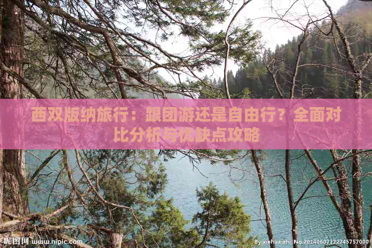 西双版纳旅行：跟团游还是自由行？全面对比分析与优缺点攻略