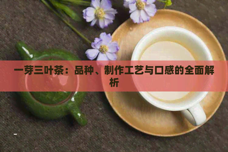 一芽三叶茶：品种、制作工艺与口感的全面解析