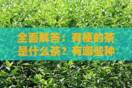 全面解答：有梗的茶是什么茶？有哪些种类？如何品尝与鉴别？