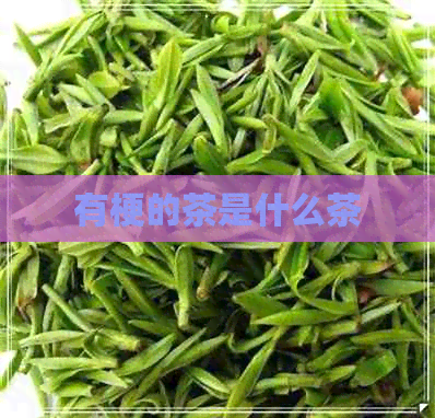 有梗的茶是什么茶