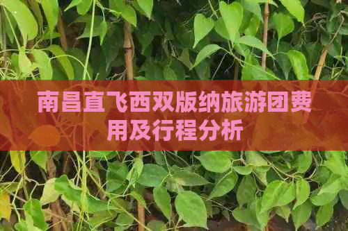 南昌直飞西双版纳旅游团费用及行程分析