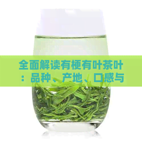 全面解读有梗有叶茶叶：品种、产地、口感与功效，满足您对茶叶的所有疑问