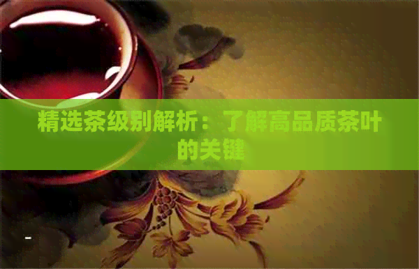 精选茶级别解析：了解高品质茶叶的关键