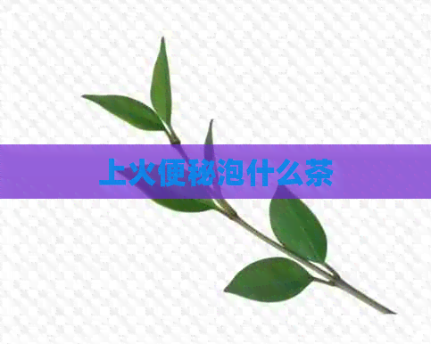 上火便秘泡什么茶