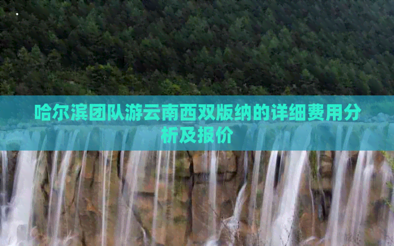 哈尔滨团队游云南西双版纳的详细费用分析及报价