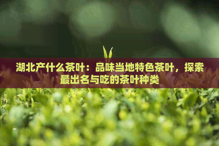 湖北产什么茶叶：品味当地特色茶叶，探索最出名与吃的茶叶种类