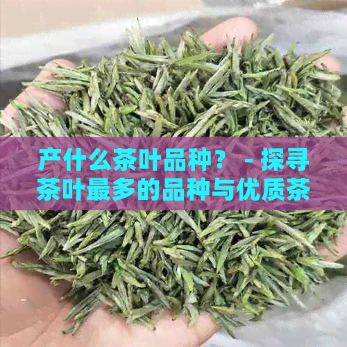 产什么茶叶品种？ - 探寻茶叶最多的品种与优质茶品