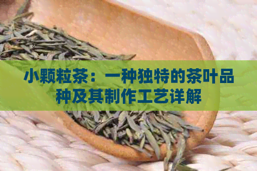 小颗粒茶：一种独特的茶叶品种及其制作工艺详解