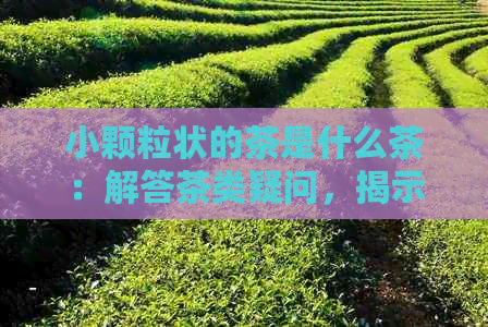 小颗粒状的茶是什么茶：解答茶类疑问，揭示小颗粒茶叶真相