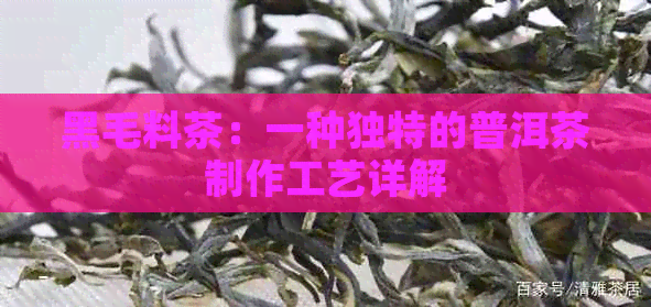 黑毛料茶：一种独特的普洱茶制作工艺详解