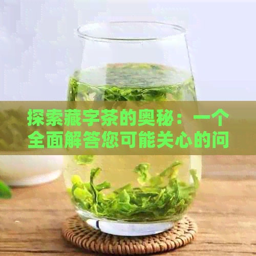 探索藏字茶的奥秘：一个全面解答您可能关心的问题