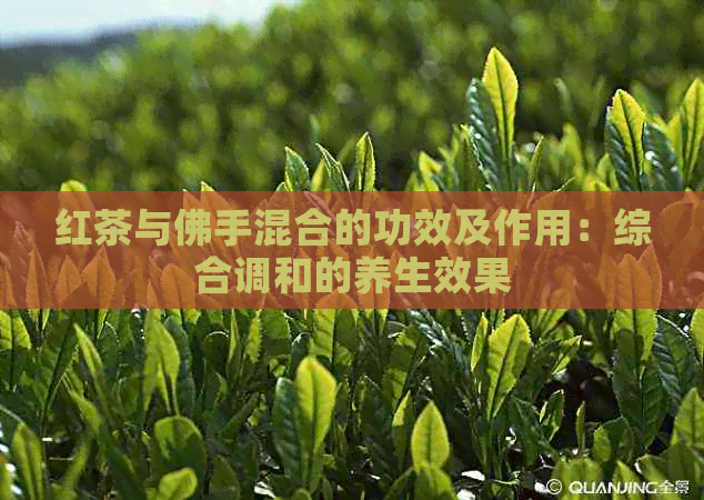 红茶与佛手混合的功效及作用：综合调和的养生效果