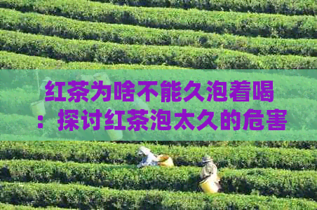 红茶为啥不能久泡着喝：探讨红茶泡太久的危害及正确冲泡方法