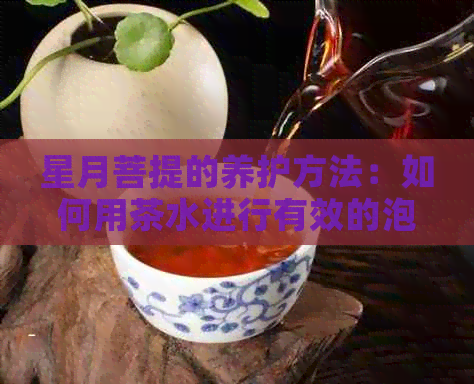 星月菩提的养护方法：如何用茶水进行有效的泡养