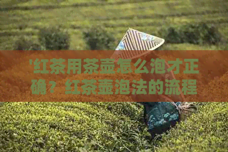 '红茶用茶壶怎么泡才正确？红茶壶泡法的流程与要领'