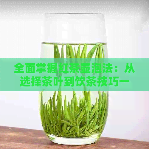 全面掌握红茶壶泡法：从选择茶叶到饮茶技巧一应俱全