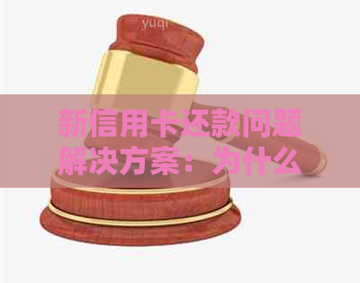 新信用卡还款问题解决方案：为什么换了新信用卡仍无法还款？