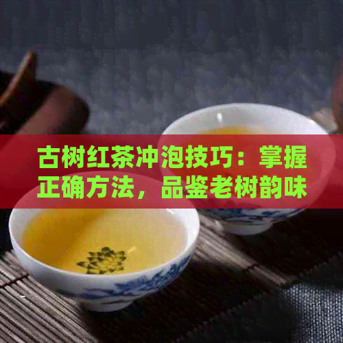 古树红茶冲泡技巧：掌握正确方法，品鉴老树韵味