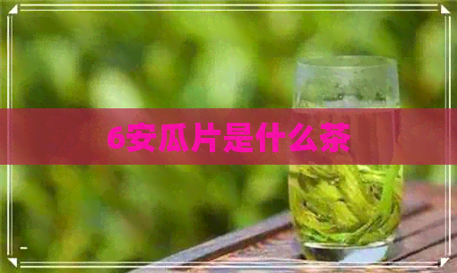 6安瓜片是什么茶