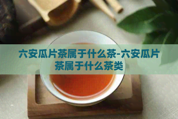 六安瓜片茶属于什么茶-六安瓜片茶属于什么茶类