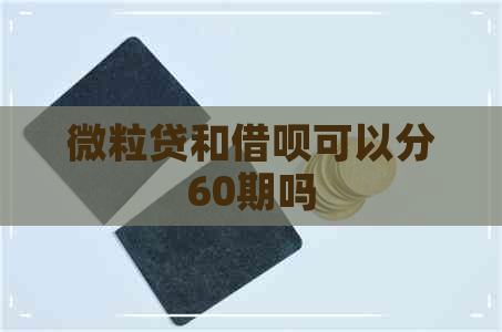 微粒贷和借呗可以分60期吗