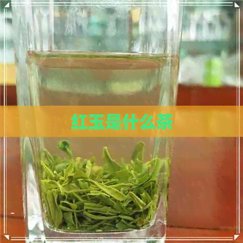 红玉是什么茶