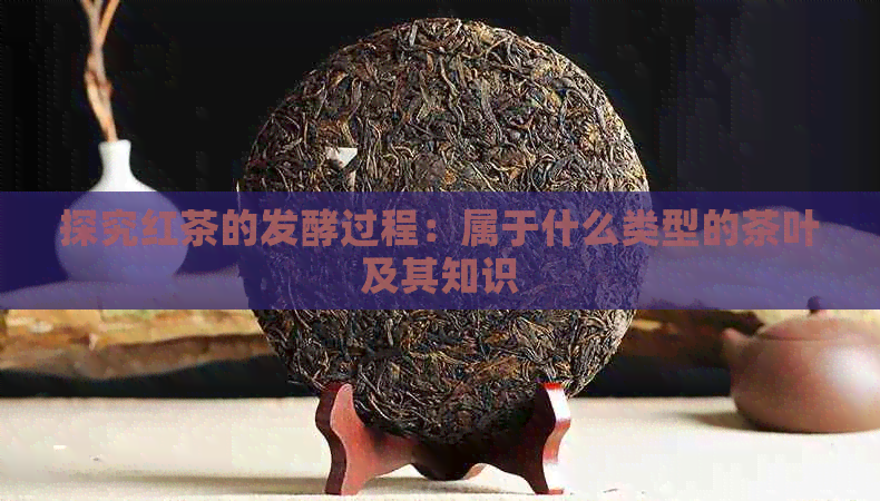 探究红茶的发酵过程：属于什么类型的茶叶及其知识