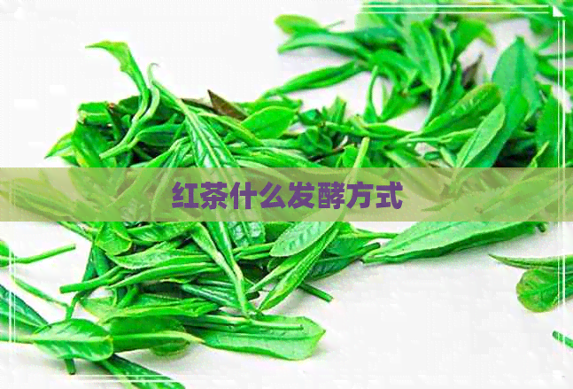 红茶什么发酵方式